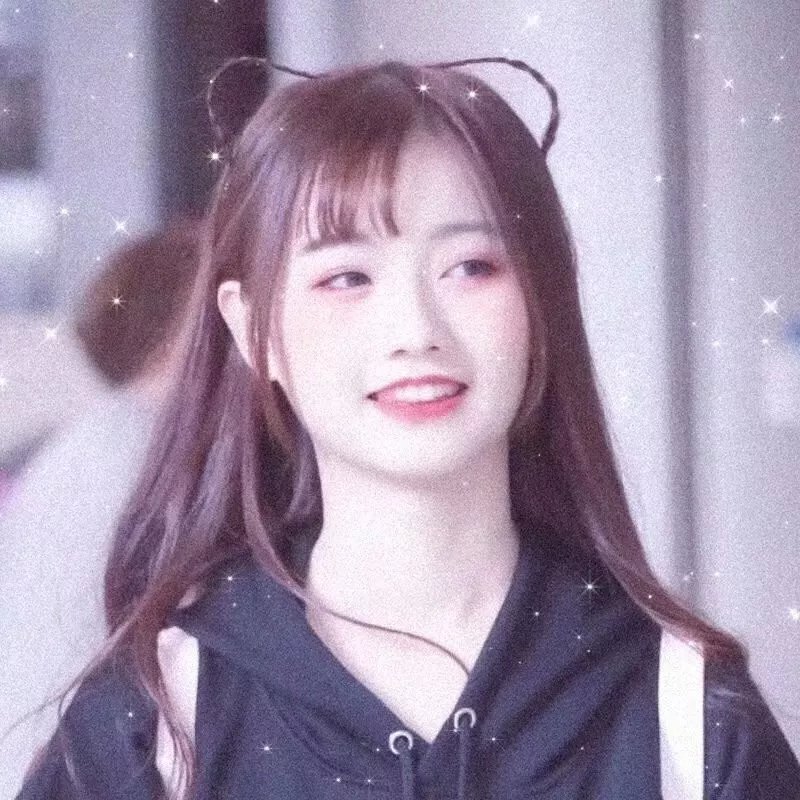 狗狗监护权